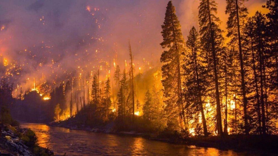Lo peor de la historia moderna: Incendios en España y Francia baten récord histórico