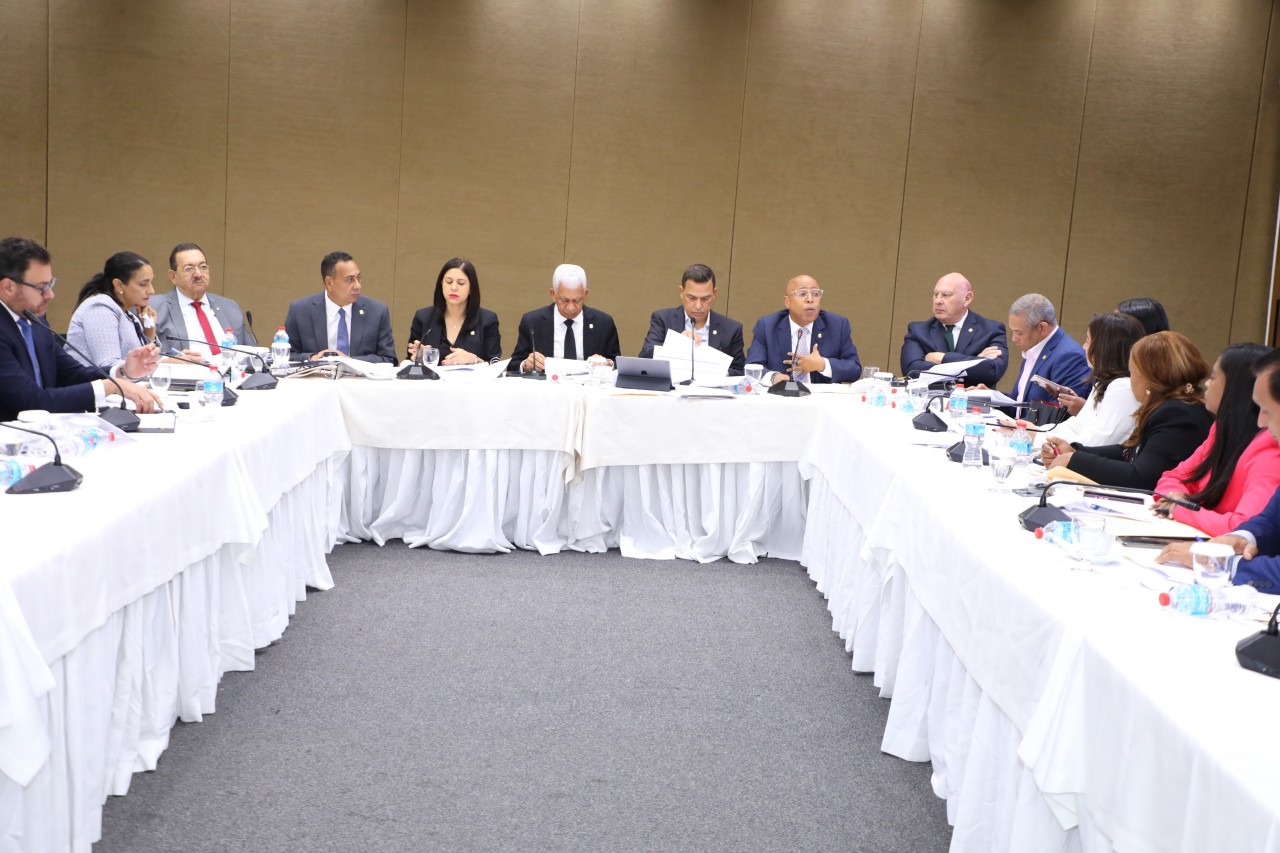 Comisión Bicameral avanza estudio de los artículos del Código Penal que requieren modificaciones