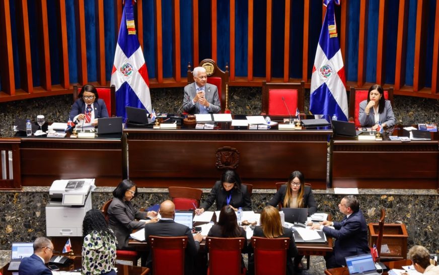 Senado aprueba ley que crea el Instituto Nacional de Custodia a favor de las mujeres víctimas de violencia de género