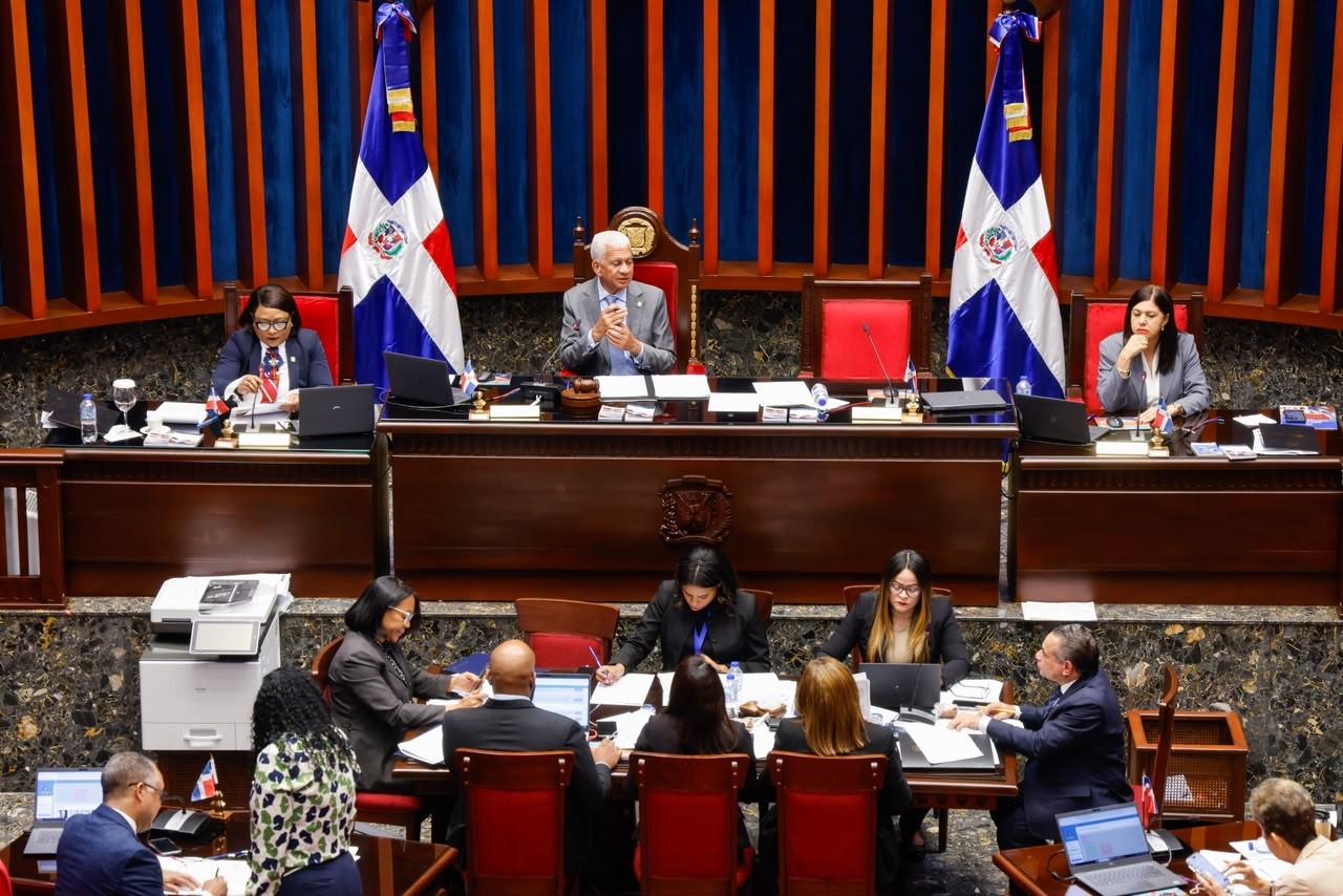 Senado aprueba ley que crea el Instituto Nacional de Custodia a favor de las mujeres víctimas de violencia de género